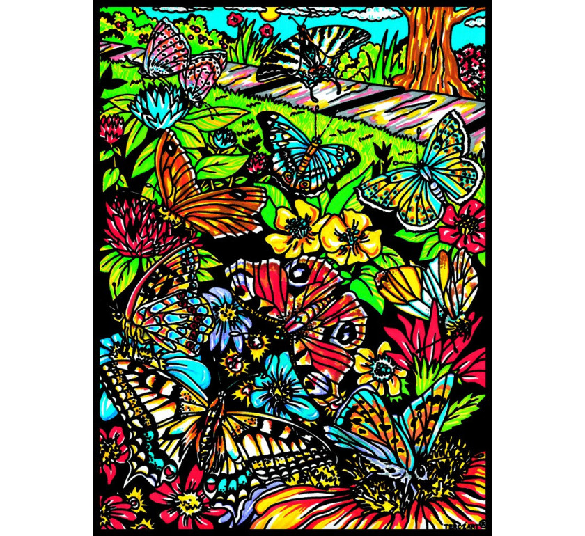 Tableaux de coloriage PAPILLON
