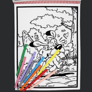 Livre de coloriages en velours asterix