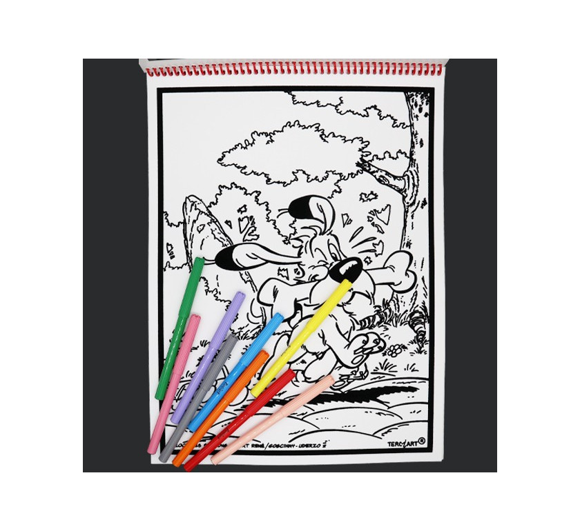 Livre de coloriages en velours asterix