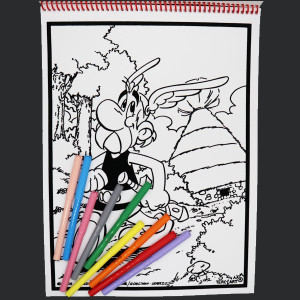 Livre de coloriages en velours asterix