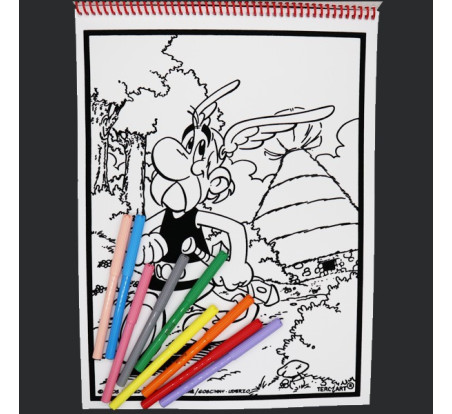 Livre de coloriages en velours asterix