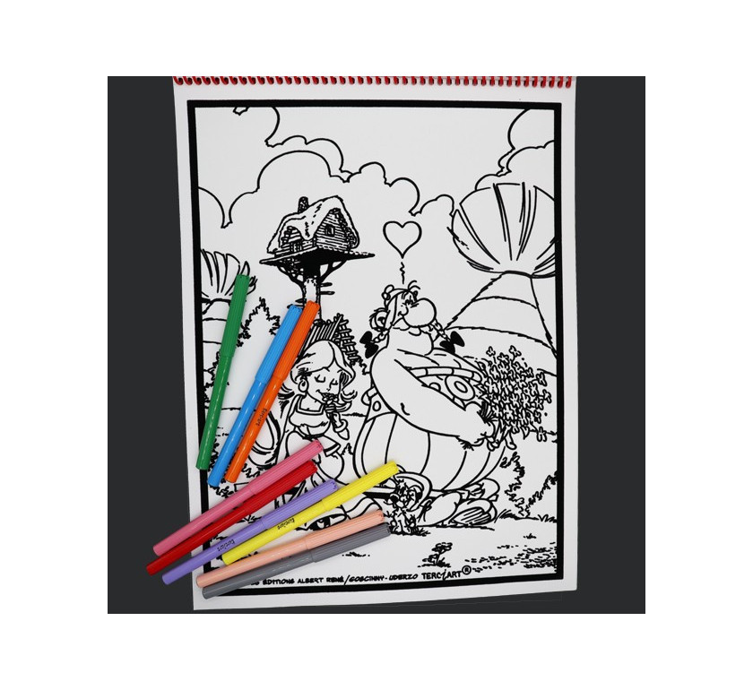 Livre de coloriages en velours asterix