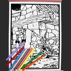 Livre de coloriages en velours asterix