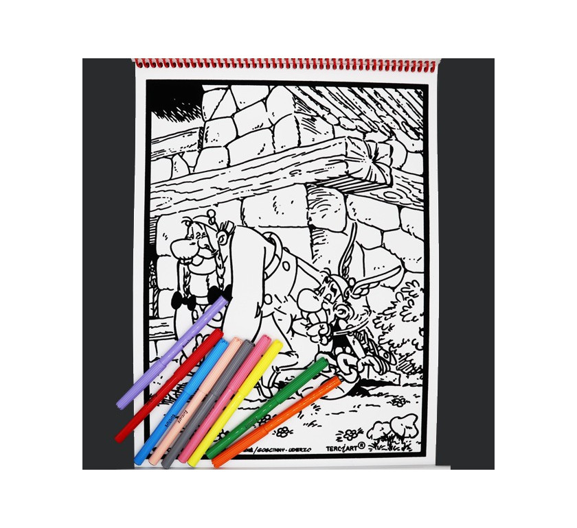 Livre de coloriages en velours asterix