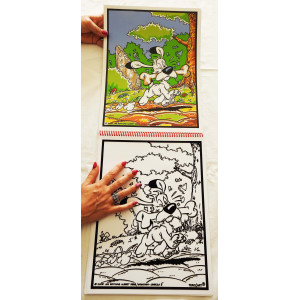 Livre de coloriages en velours asterix