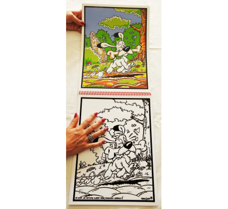 Livre de coloriages en velours asterix