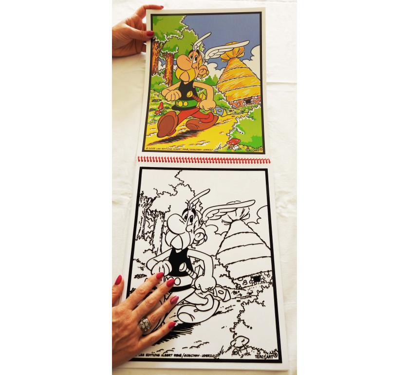 Livre de coloriages en velours asterix