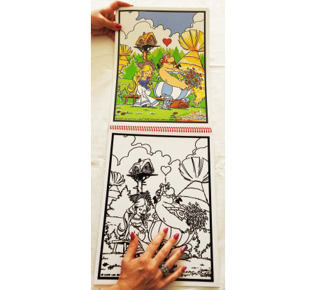 Livre de coloriages en velours asterix