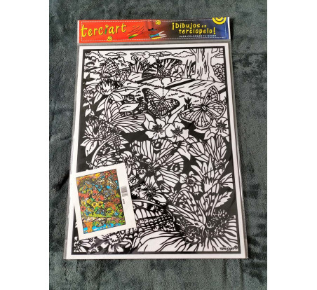 Tableaux de coloriage PAPILLON