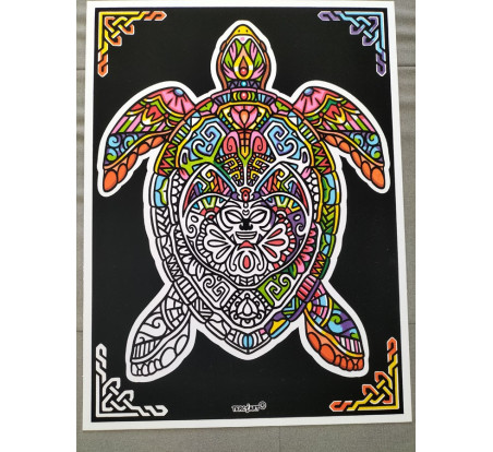 Tableaux de coloriage tortue mandala