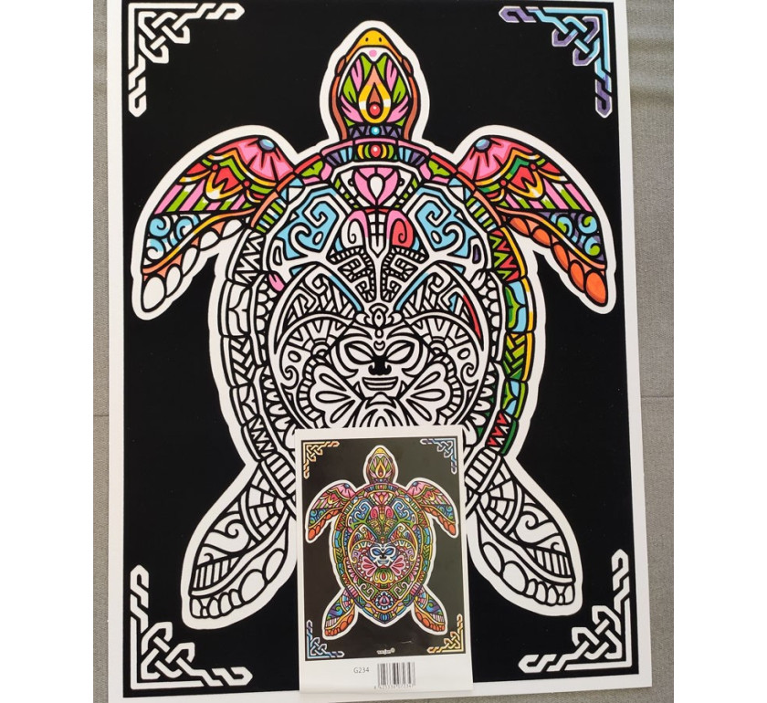 Tableaux de coloriage tortue mandala