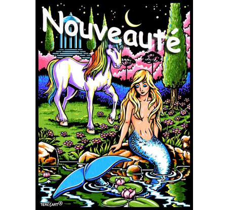 Tableaux de coloriage sirène et licorne