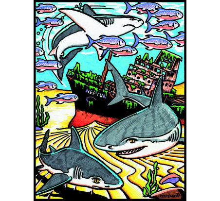 coloriage requin