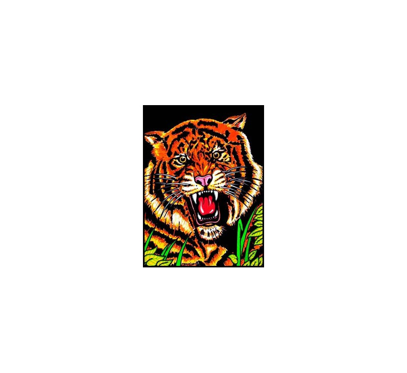tigre1