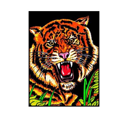 tigre1