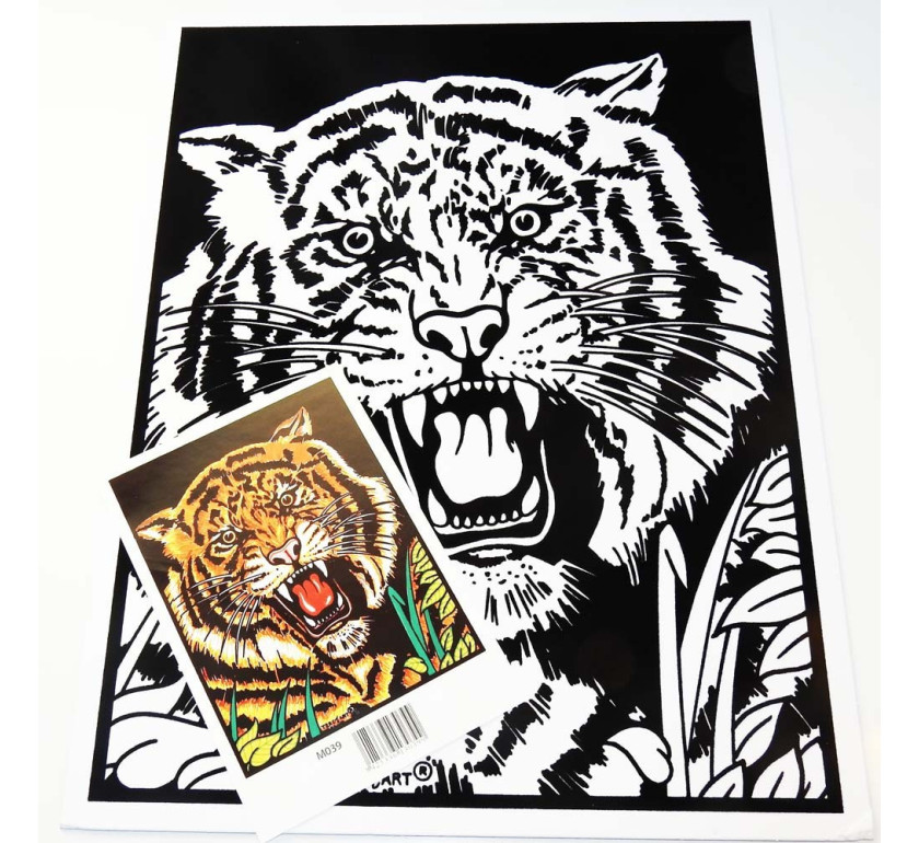 tigre1