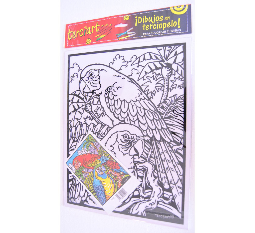 coloriage velour perroquet
