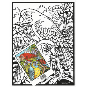 coloriage velour perroquet