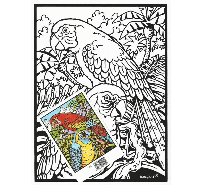 coloriage velour perroquet